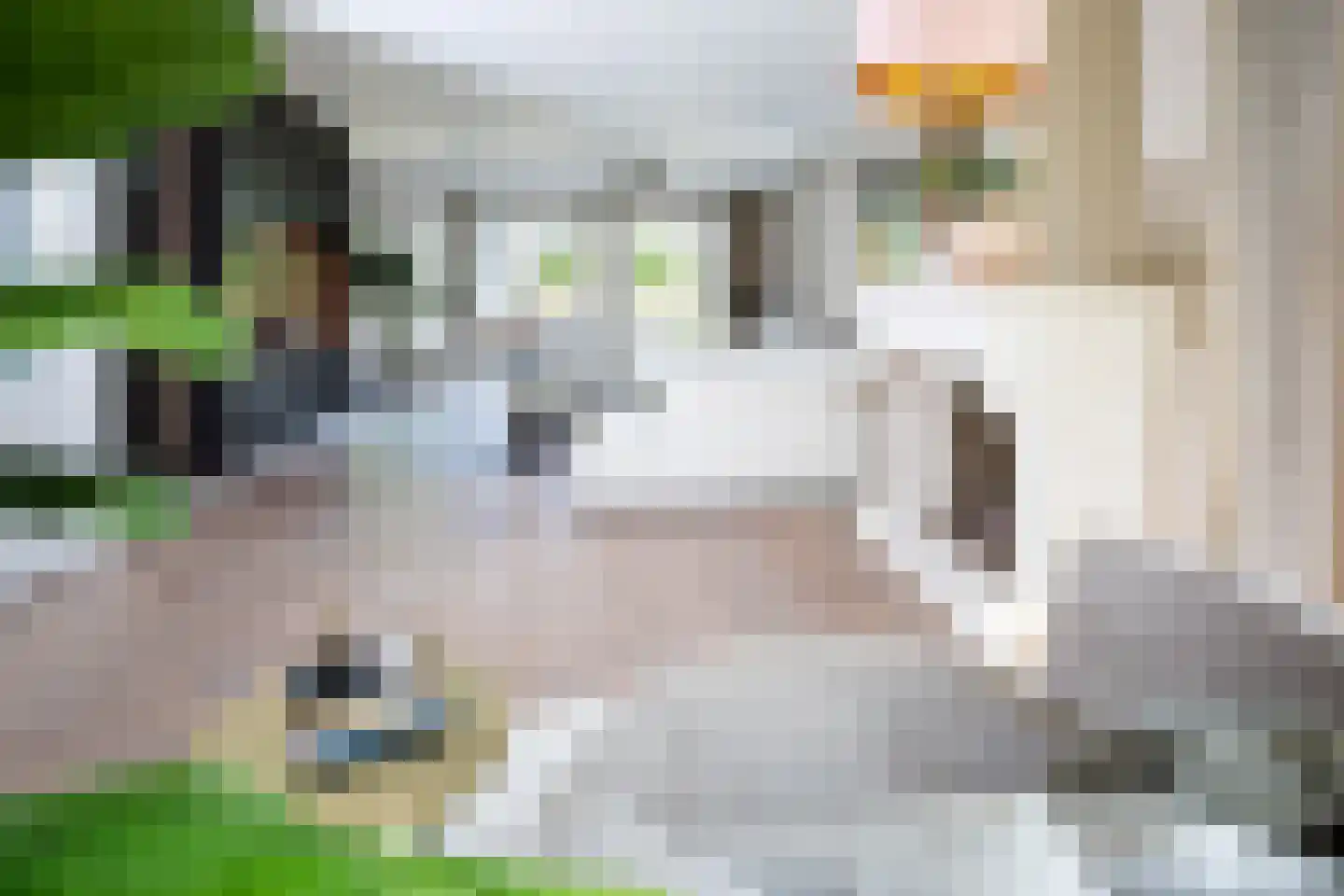 Schooteindseweg 6 Vlierden thumbnail 13