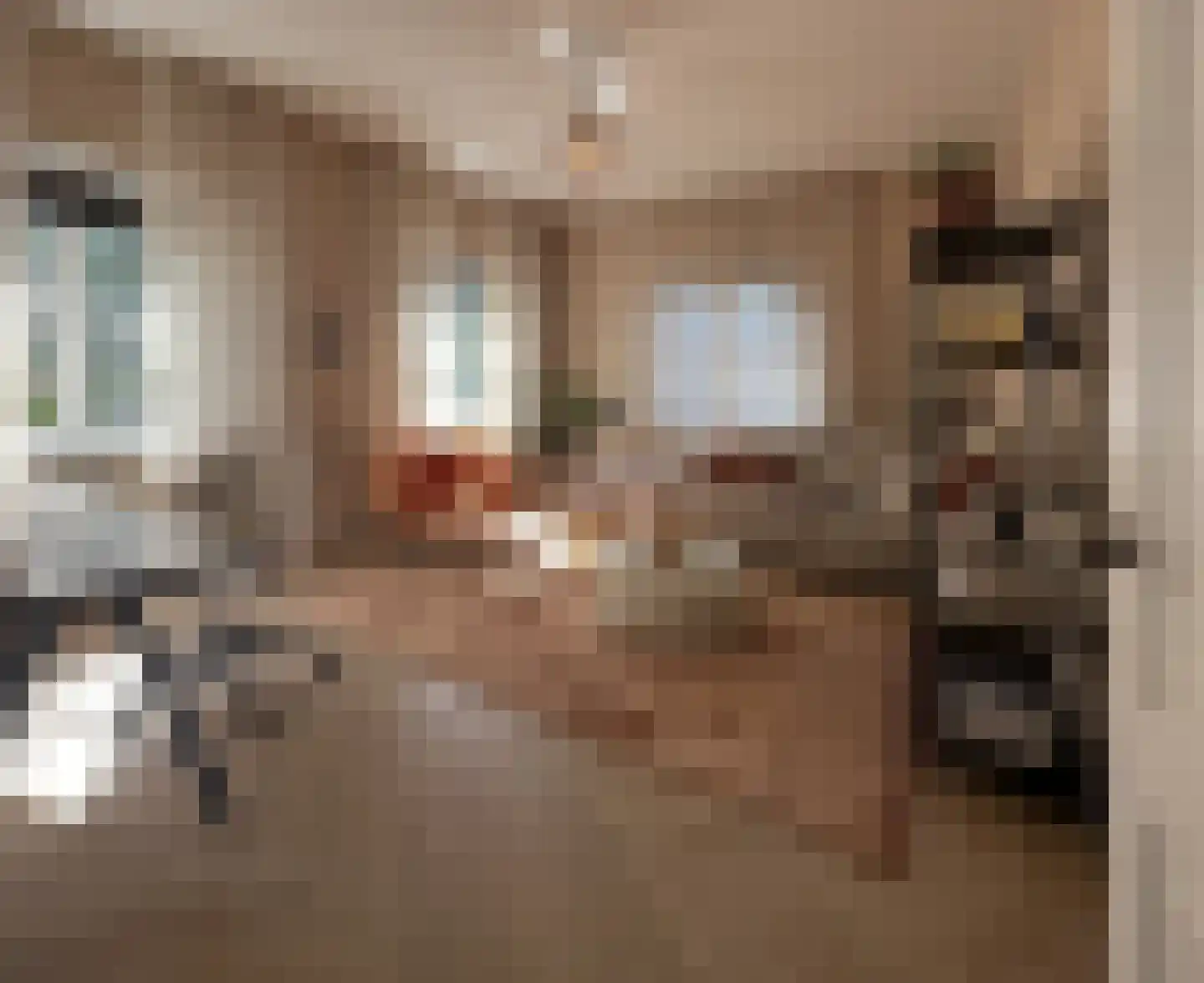 Schooteindseweg 6 Vlierden thumbnail 20