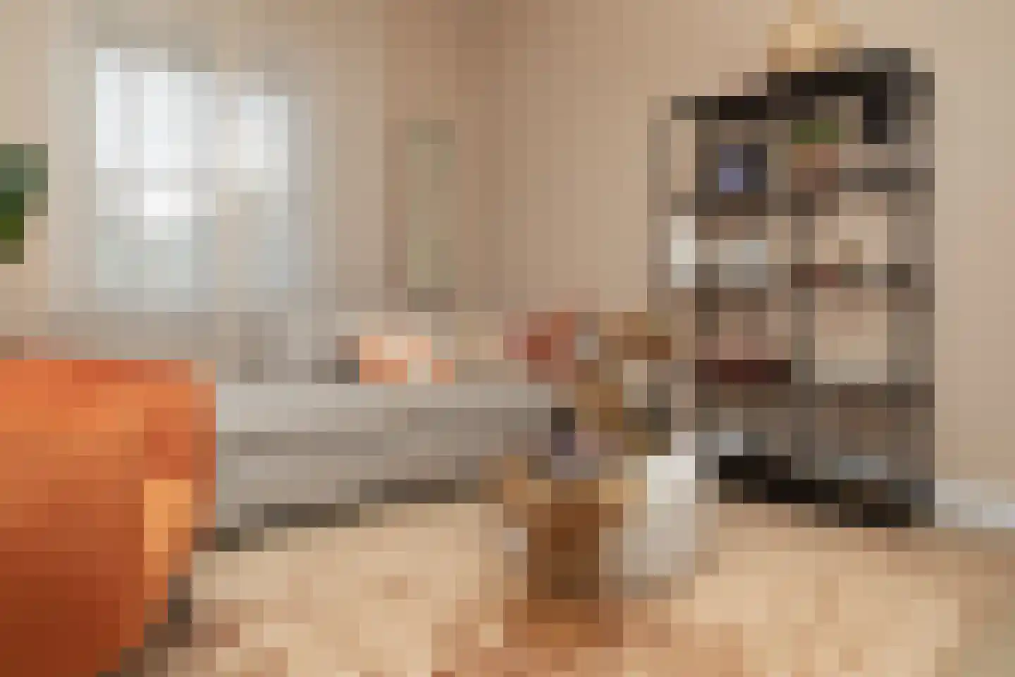 Schooteindseweg 6 Vlierden thumbnail 21
