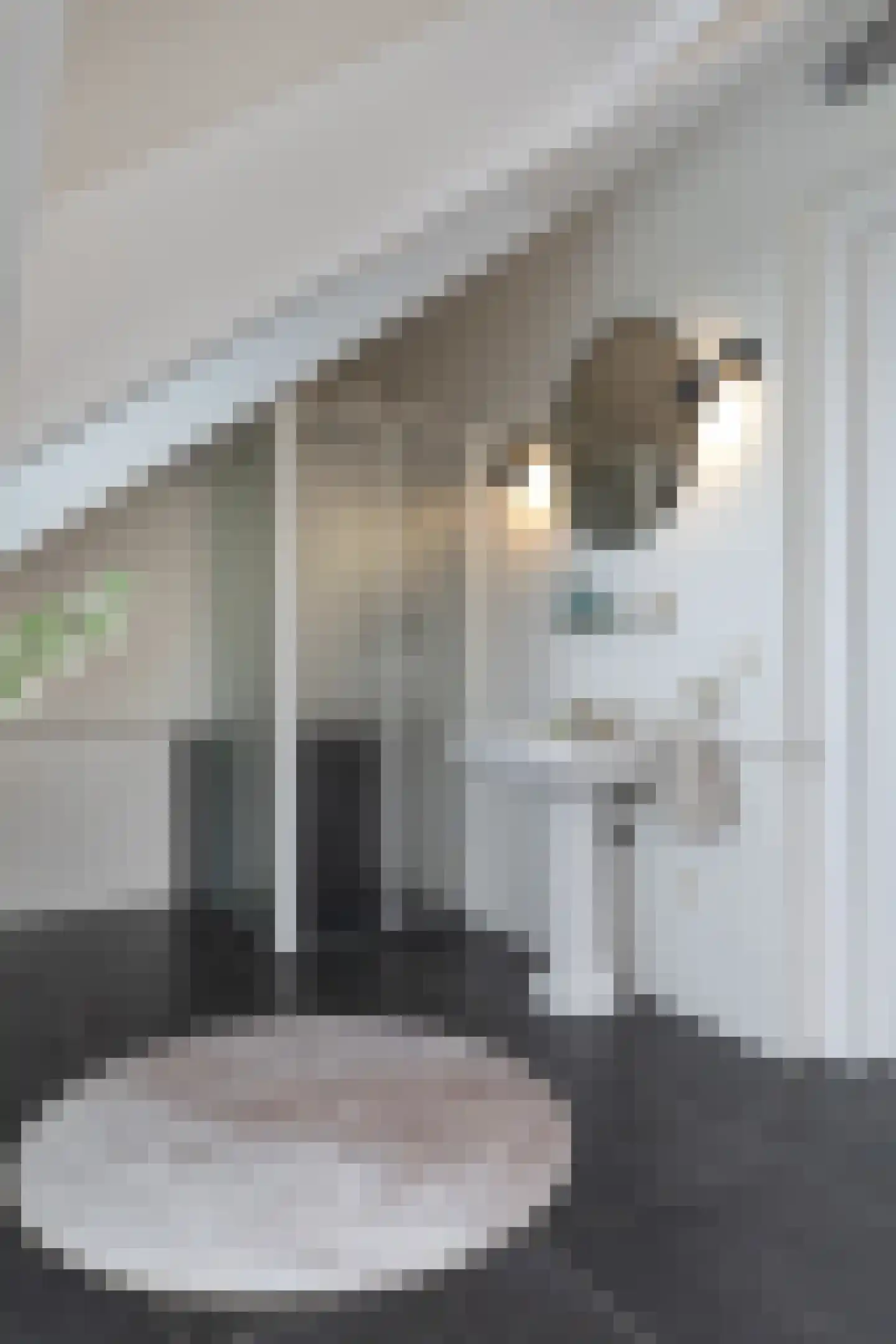 Schooteindseweg 6 Vlierden thumbnail 22