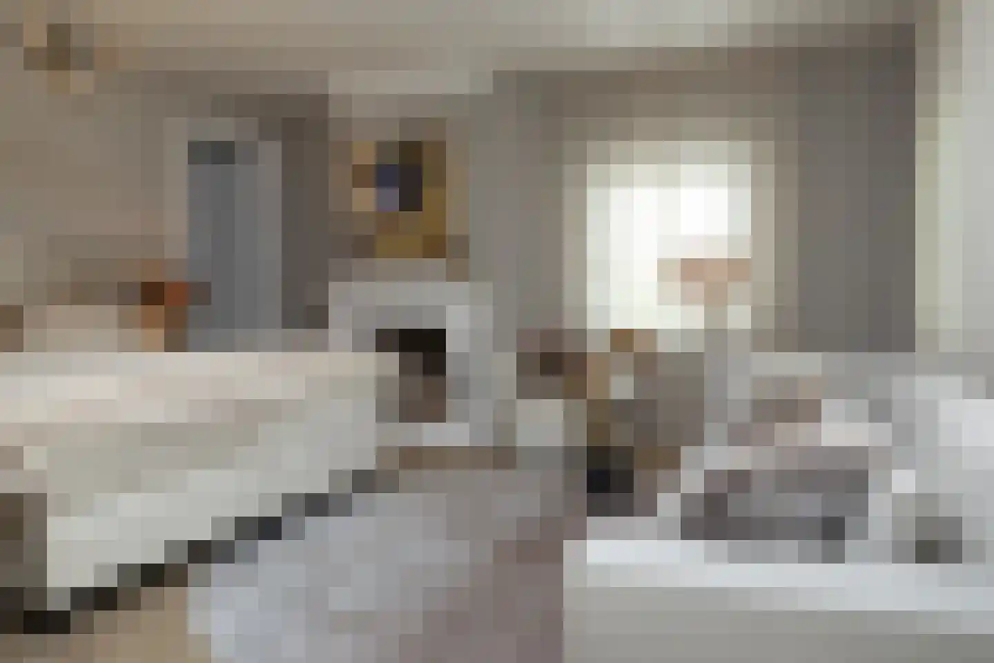 Schooteindseweg 6 Vlierden thumbnail 29