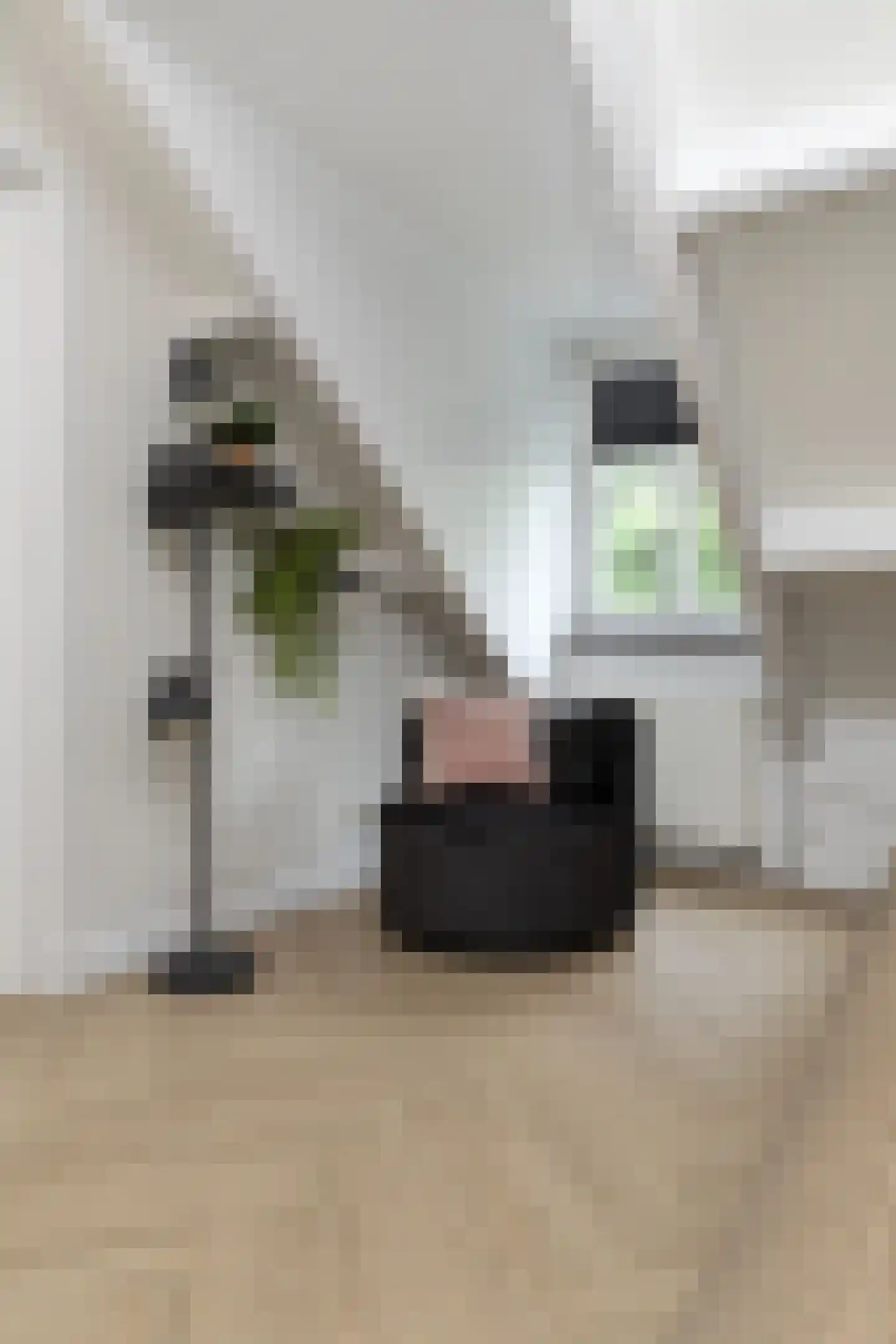 Schooteindseweg 6 Vlierden thumbnail 34