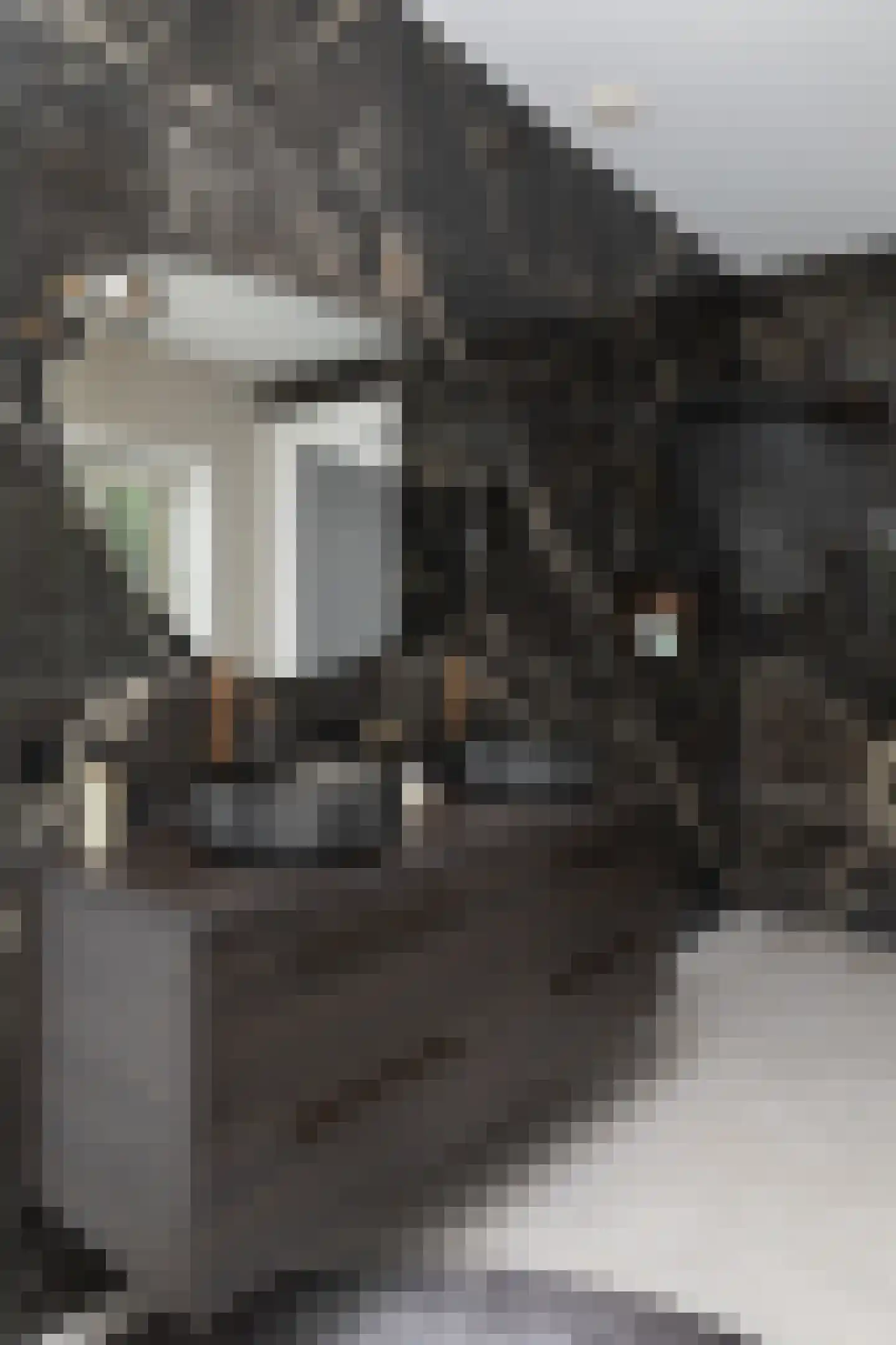 Schooteindseweg 6 Vlierden thumbnail 37