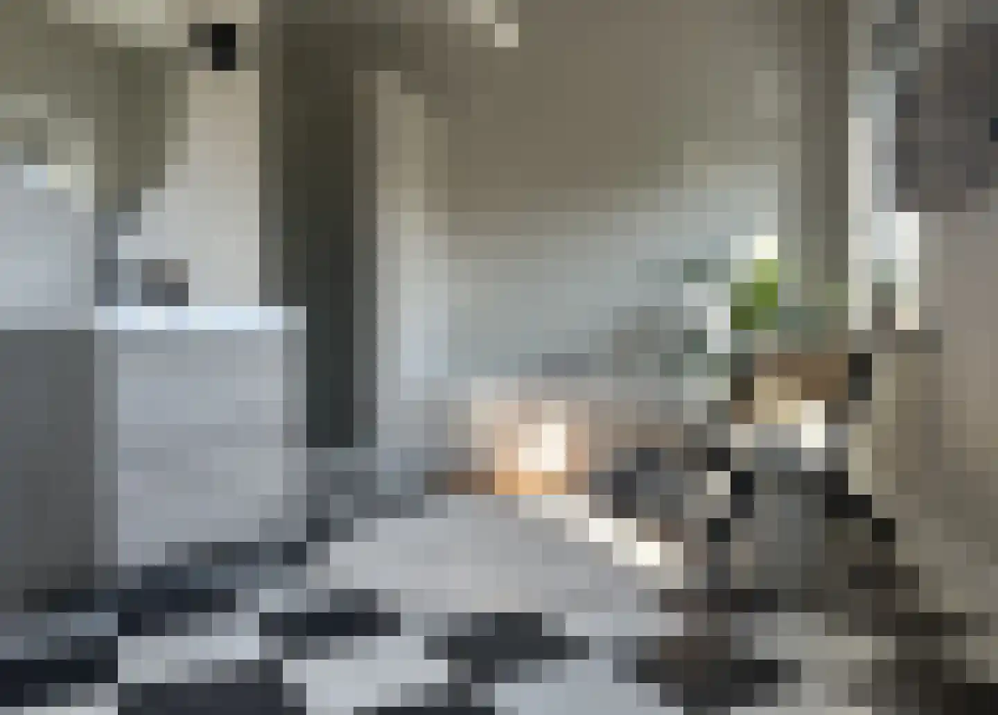 Schooteindseweg 6 Vlierden thumbnail 41