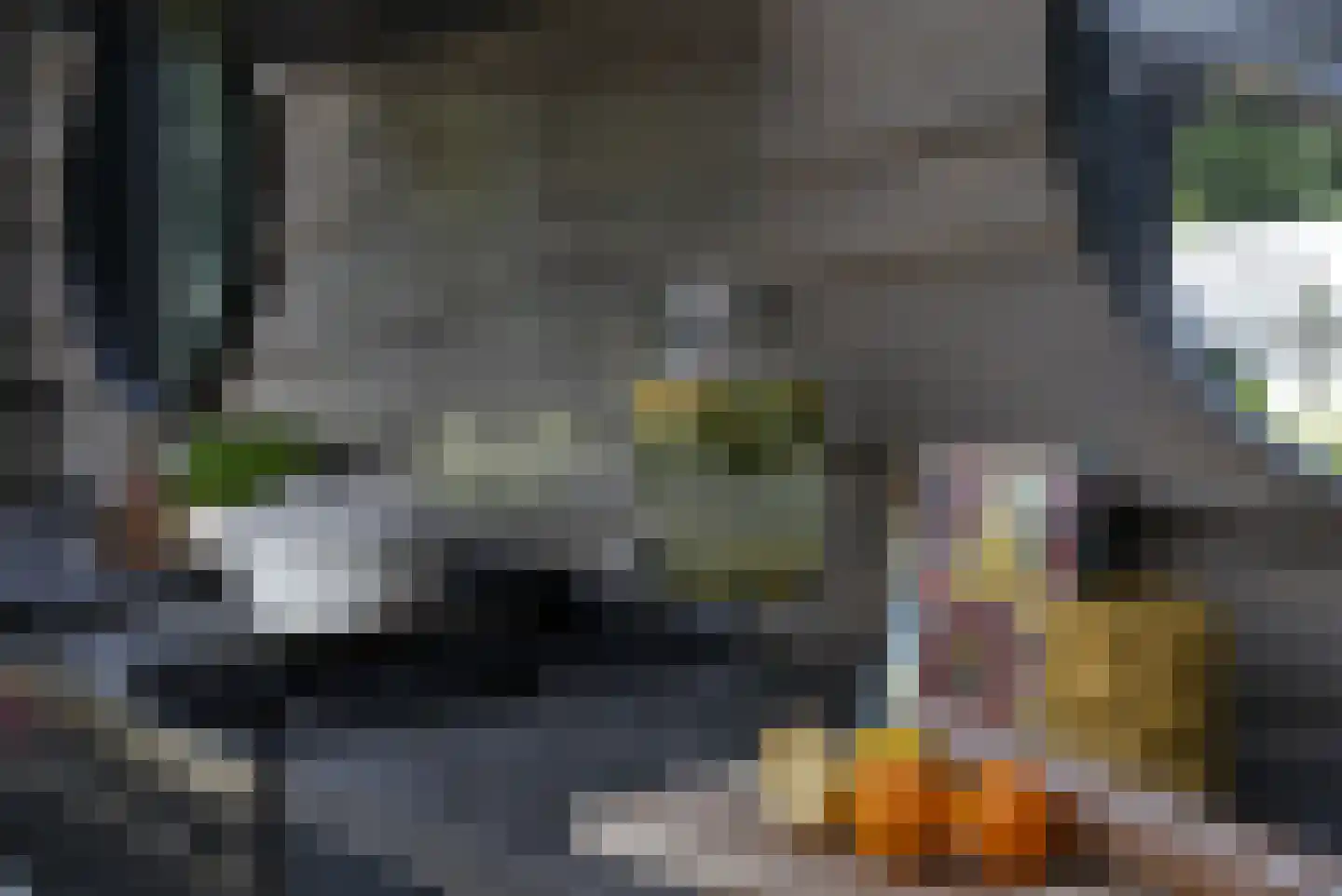 Schooteindseweg 6 Vlierden thumbnail 51