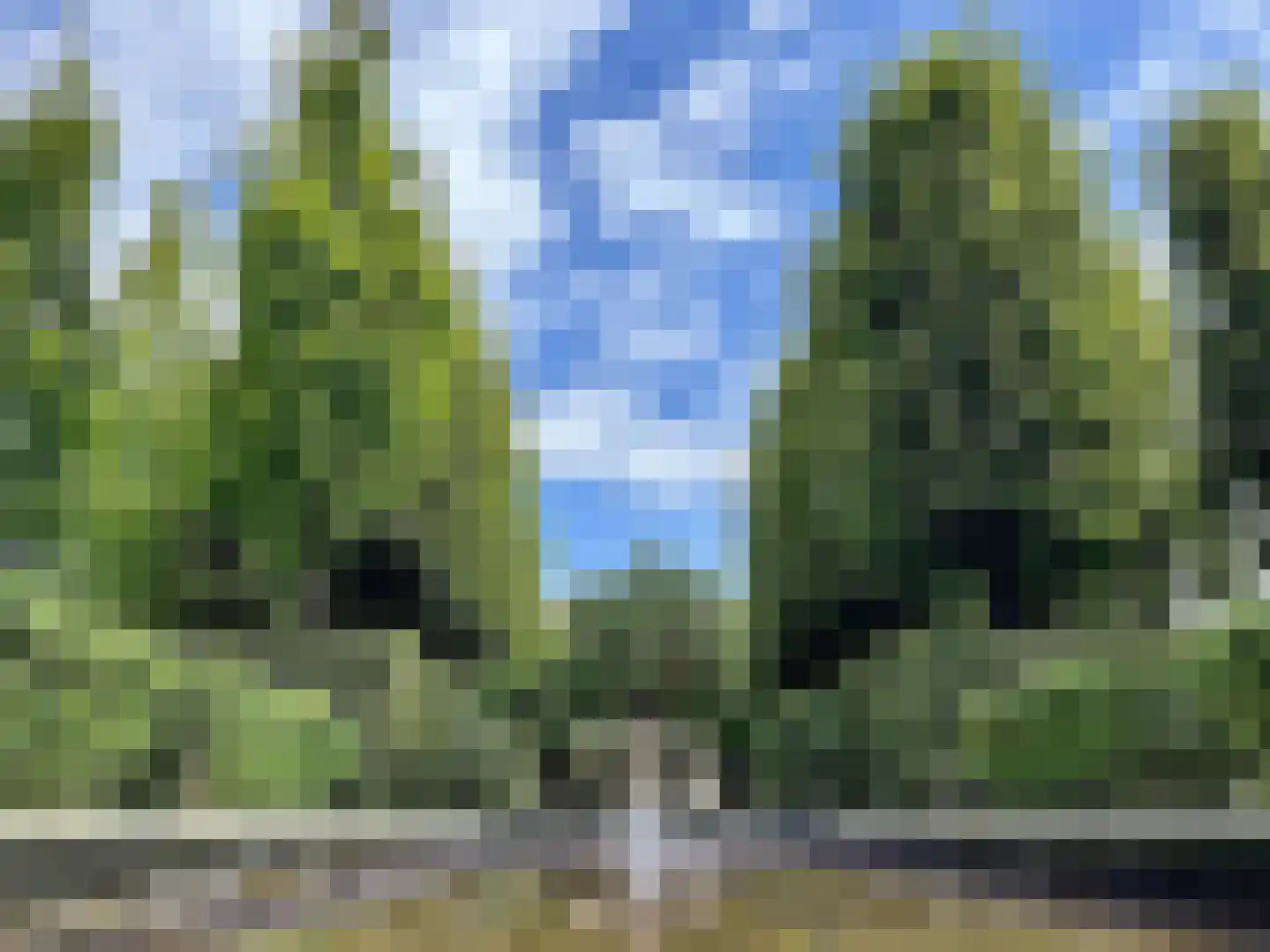 Schooteindseweg 6 Vlierden thumbnail 59