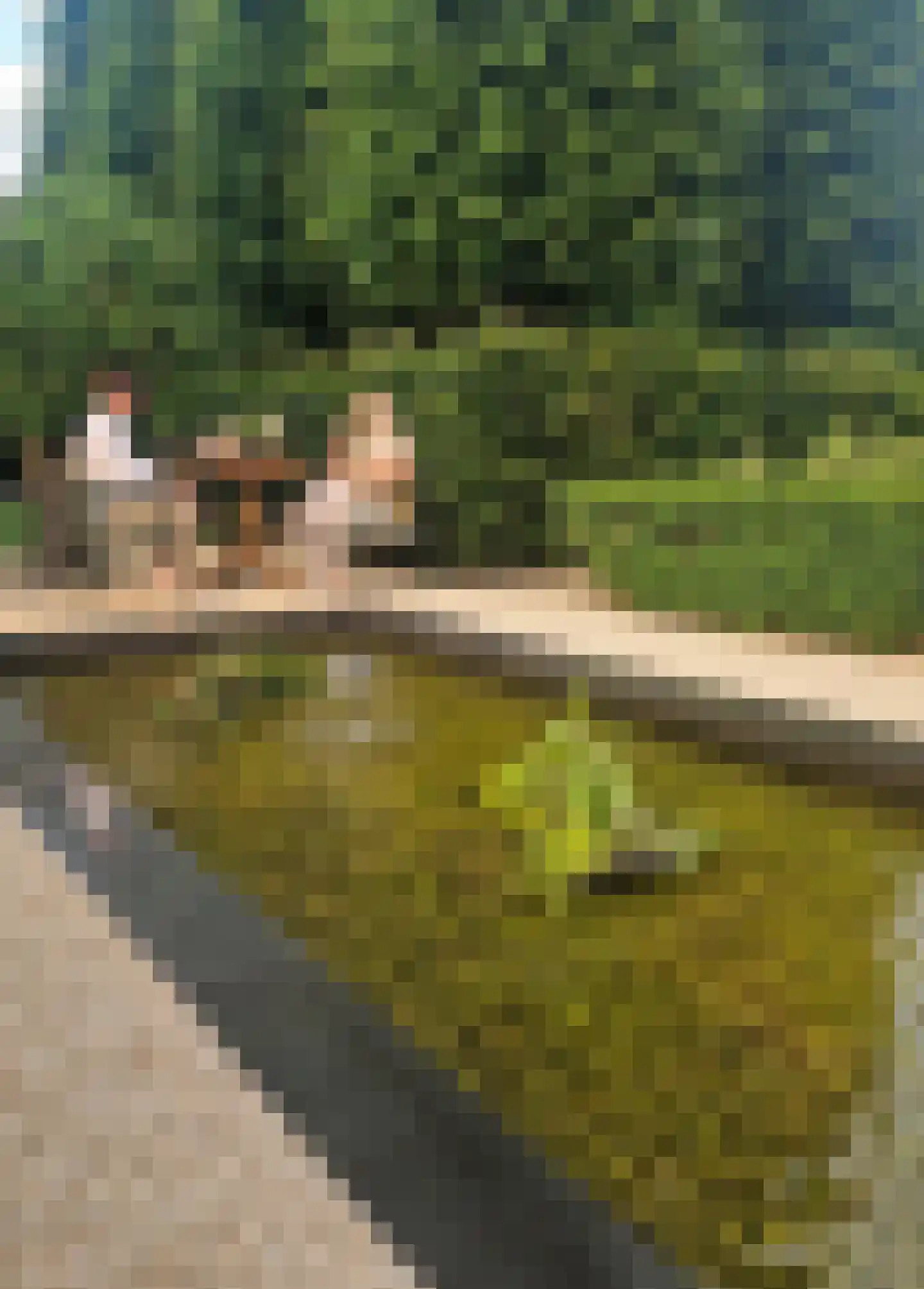 Schooteindseweg 6 Vlierden thumbnail 60