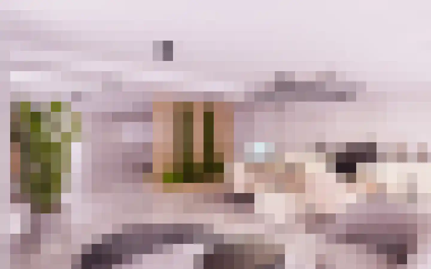 Schooteindseweg 6 Vlierden thumbnail 66