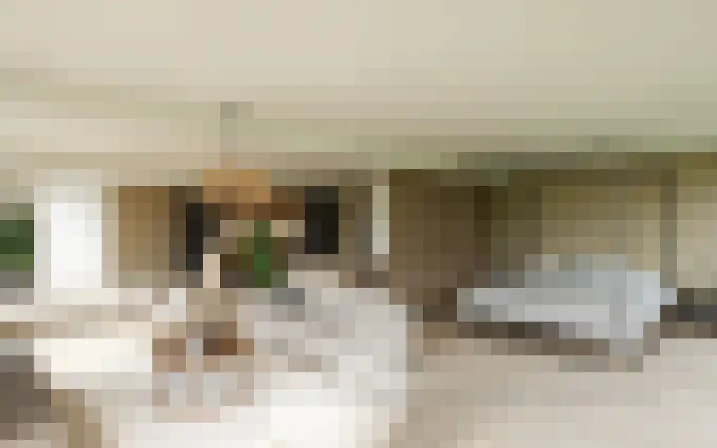 Schooteindseweg 6 Vlierden thumbnail 67