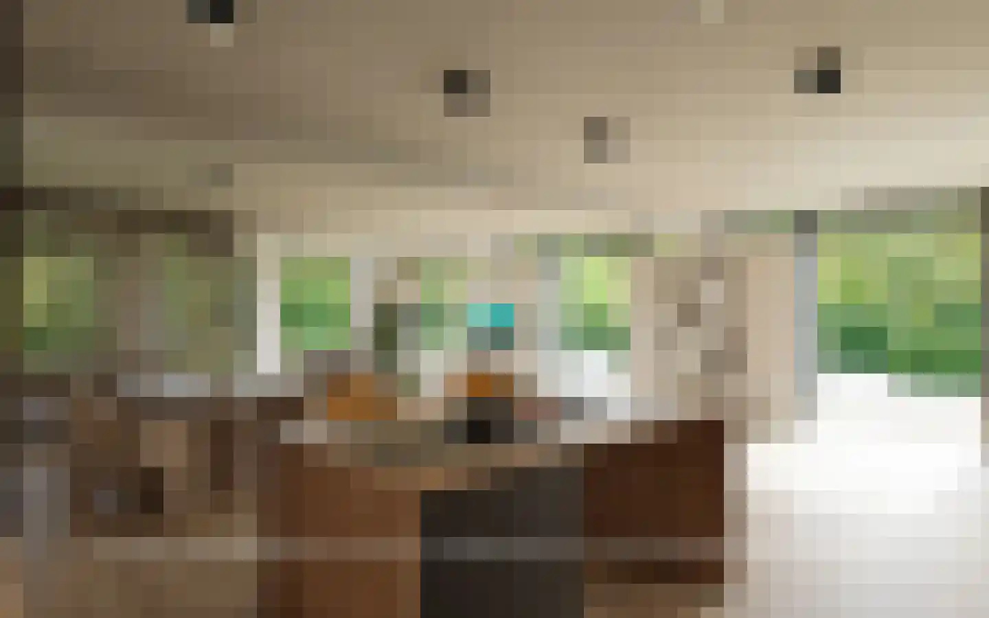 Schooteindseweg 6 Vlierden thumbnail 68