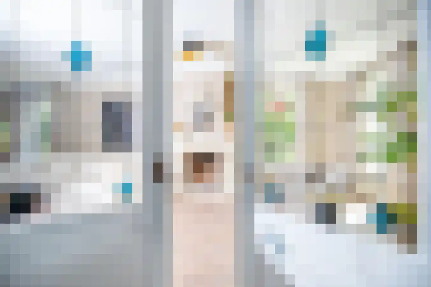 Schooteindseweg 6 Vlierden thumbnail 7