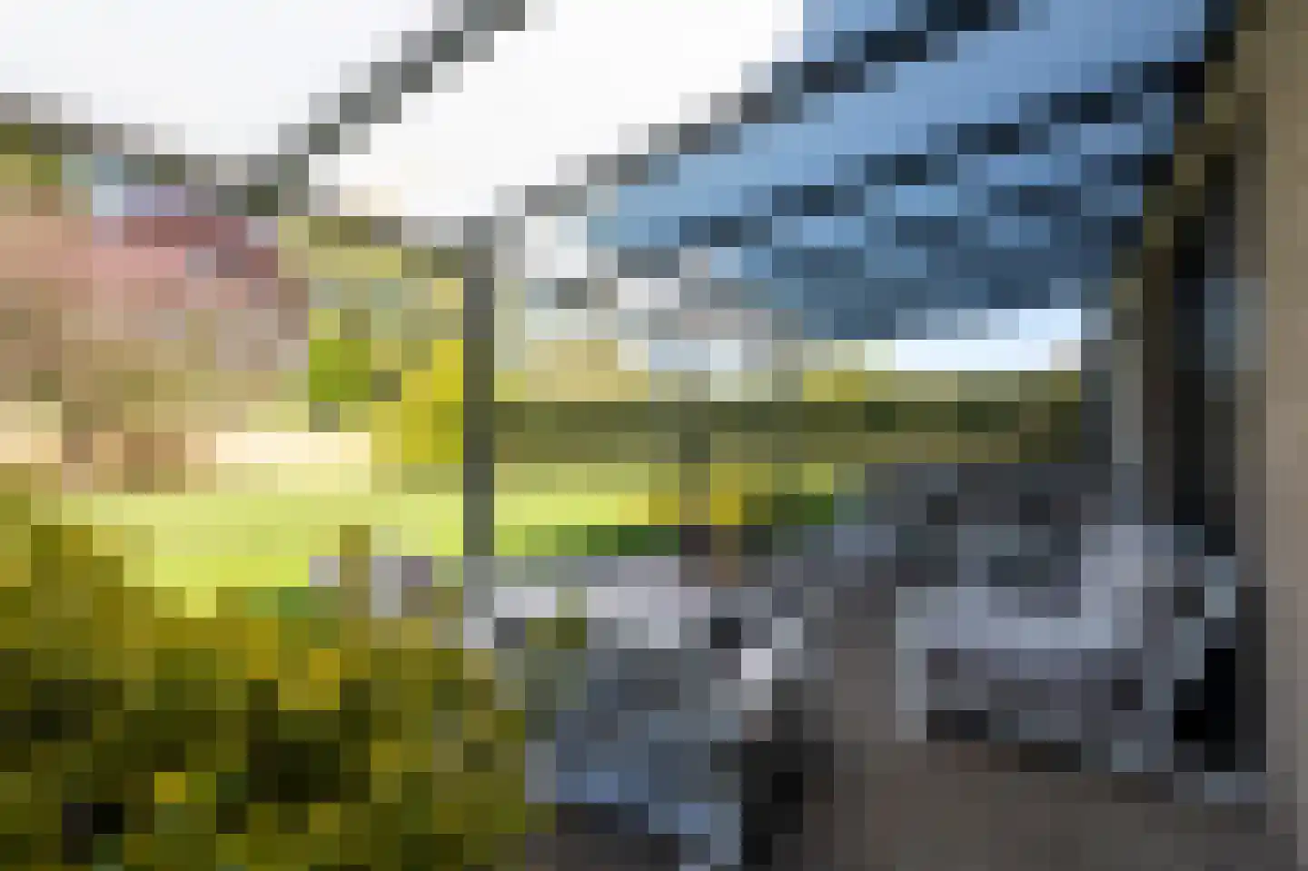 Schootsenhoek 1 Castelre thumbnail 11