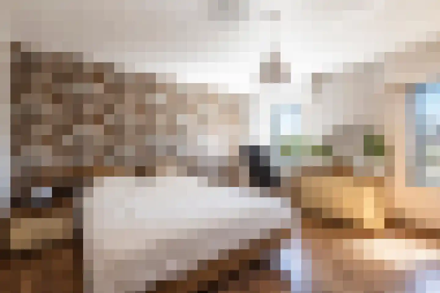 Schootsenhoek 1 Castelre thumbnail 14