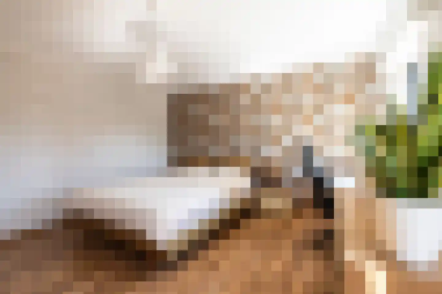 Schootsenhoek 1 Castelre thumbnail 15