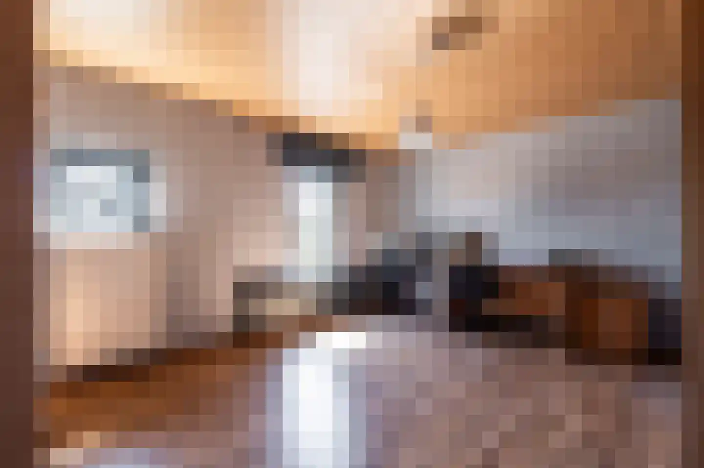 Schootsenhoek 1 Castelre thumbnail 16