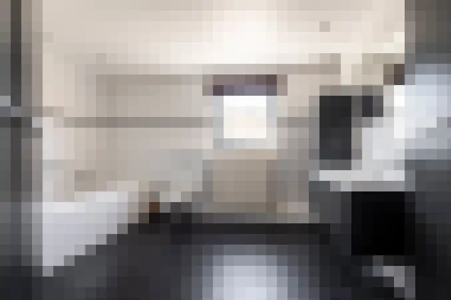 Schootsenhoek 1 Castelre thumbnail 21
