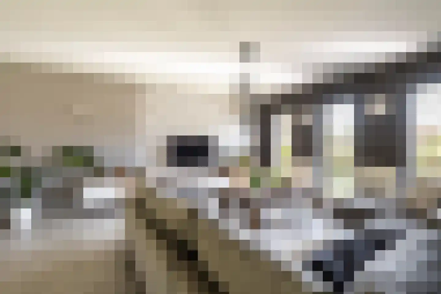 Schootsenhoek 1 Castelre thumbnail 24