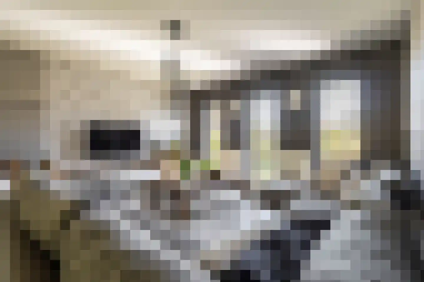 Schootsenhoek 1 Castelre thumbnail 25
