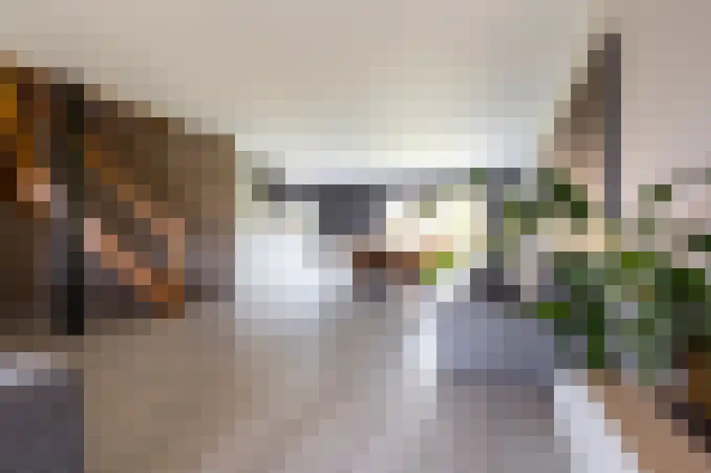Schootsenhoek 1 Castelre thumbnail 27