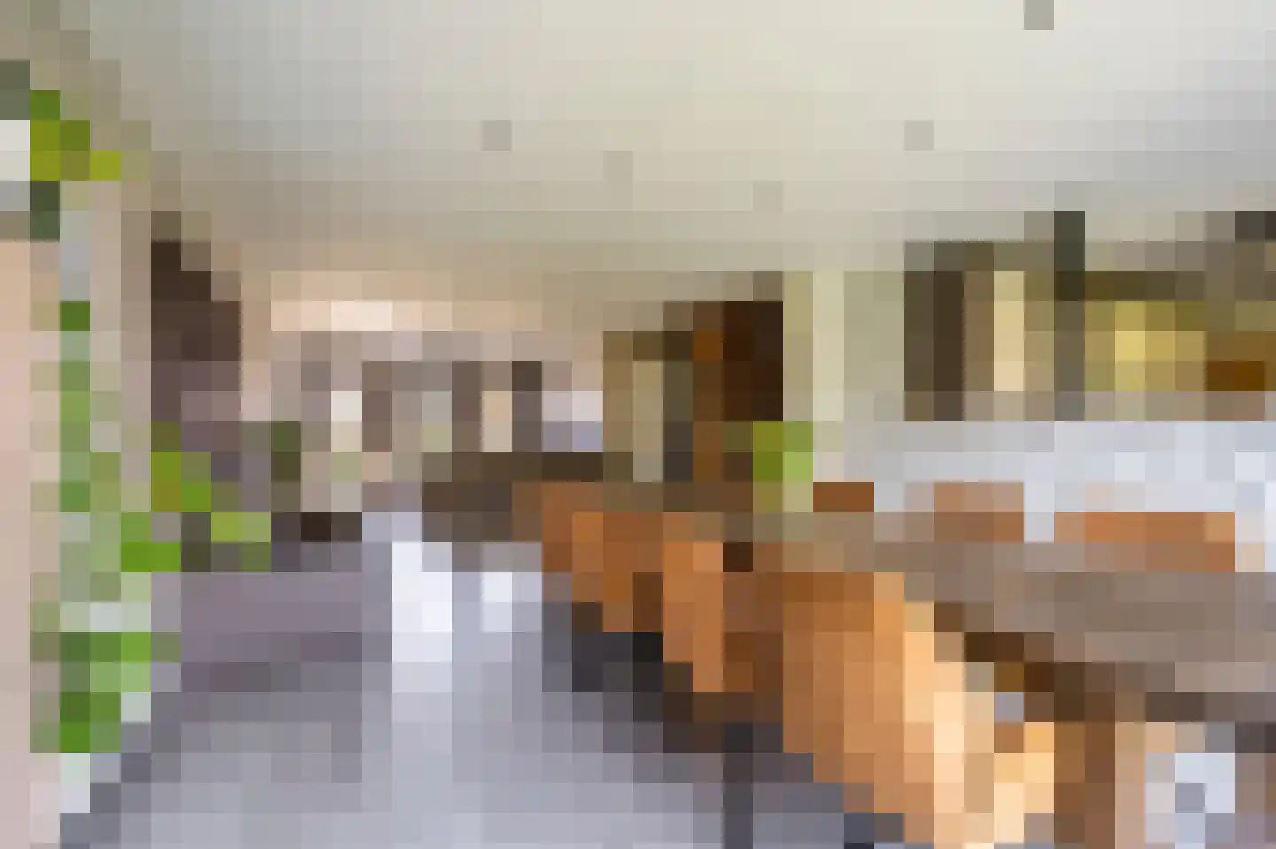 Schootsenhoek 1 Castelre thumbnail 30
