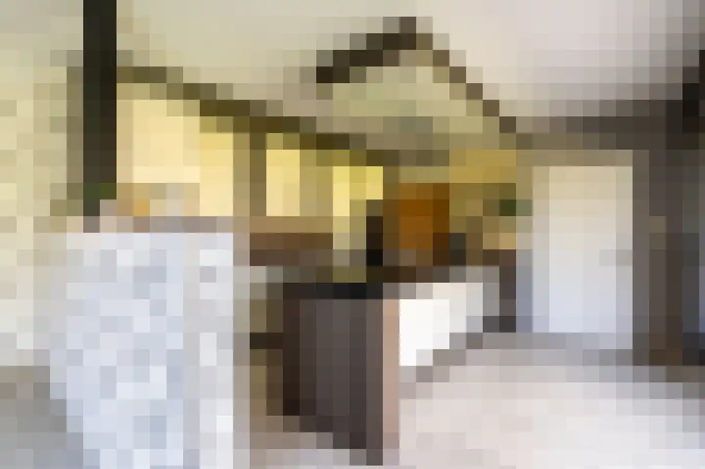 Schootsenhoek 1 Castelre thumbnail 32