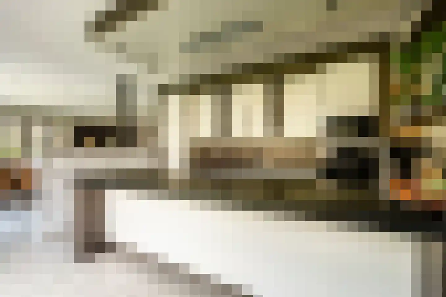 Schootsenhoek 1 Castelre thumbnail 33
