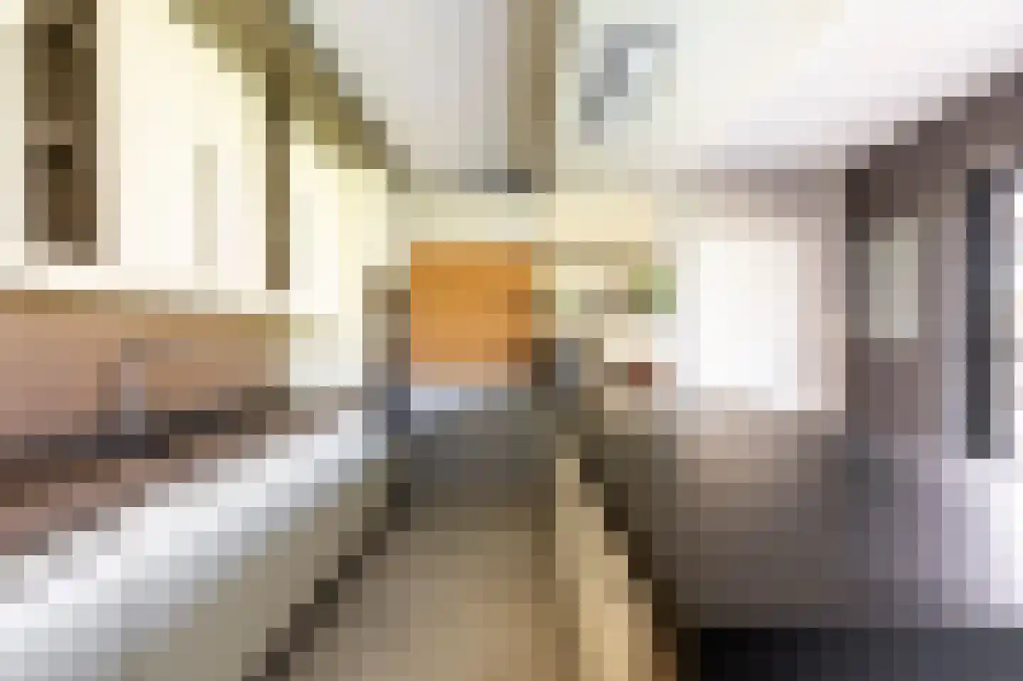 Schootsenhoek 1 Castelre thumbnail 34