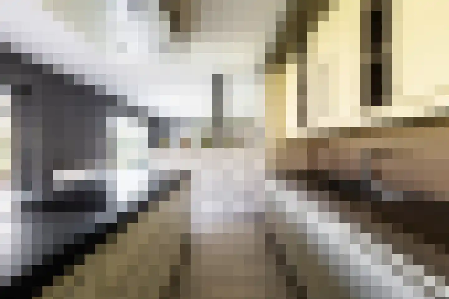 Schootsenhoek 1 Castelre thumbnail 35