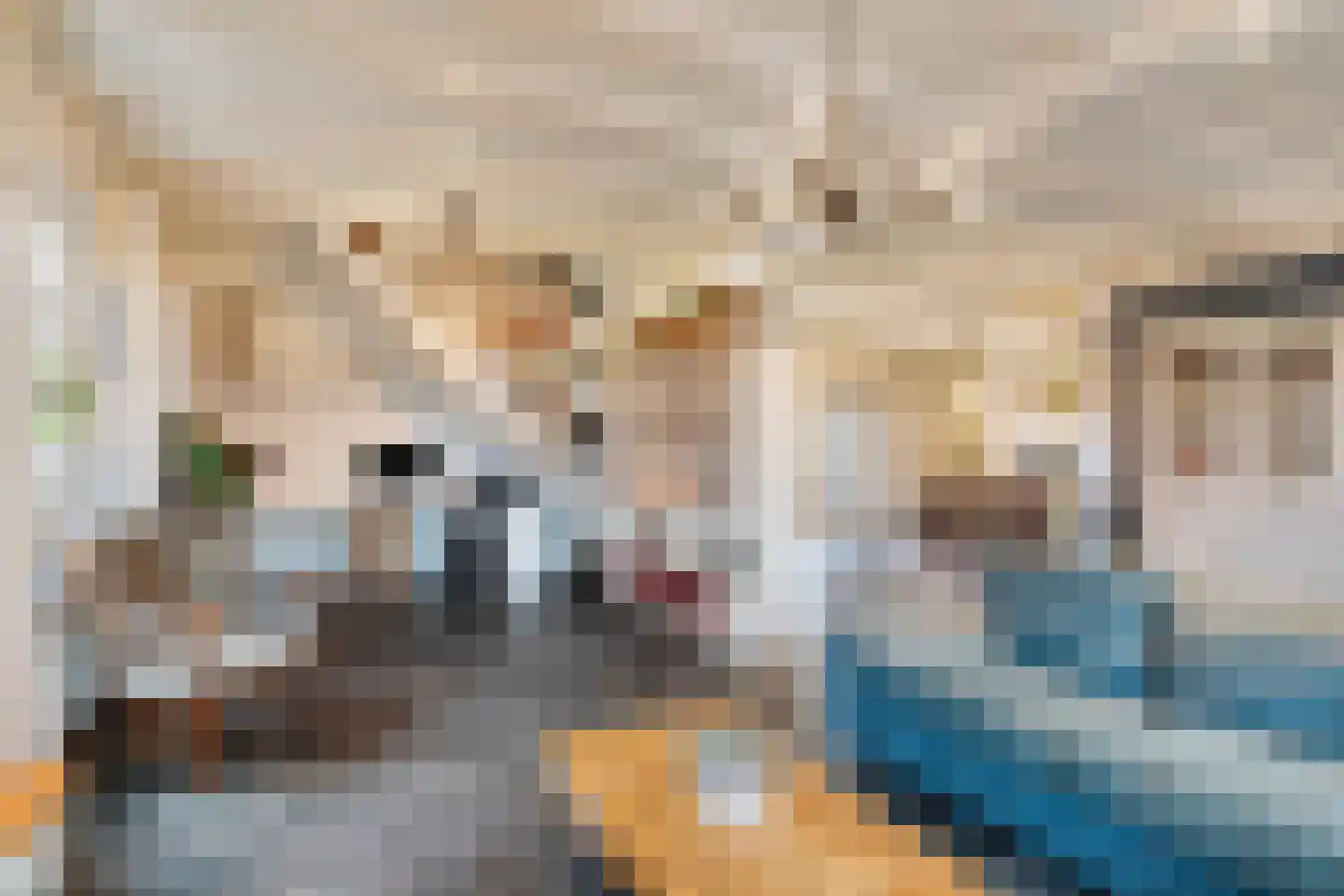 Schootsenhoek 11 Castelre thumbnail 10