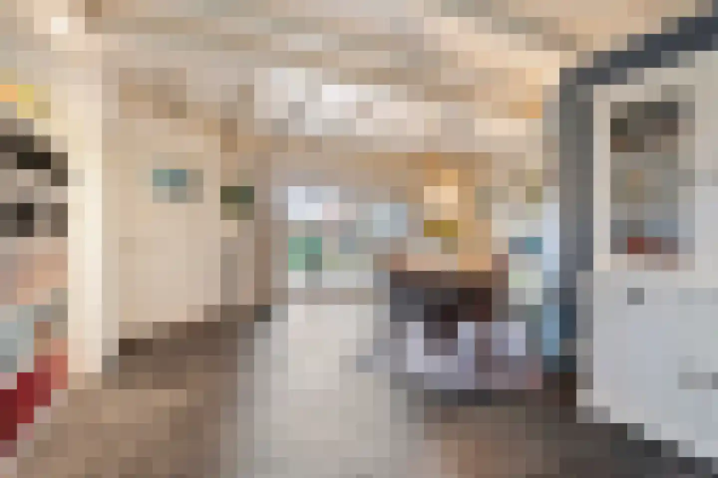 Schootsenhoek 11 Castelre thumbnail 12