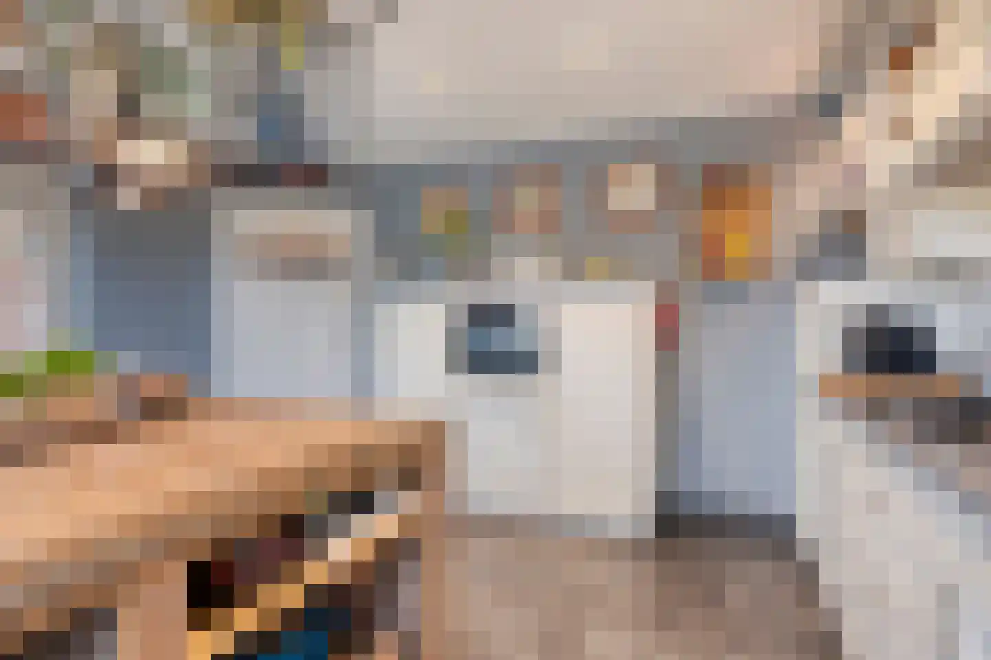 Schootsenhoek 11 Castelre thumbnail 14
