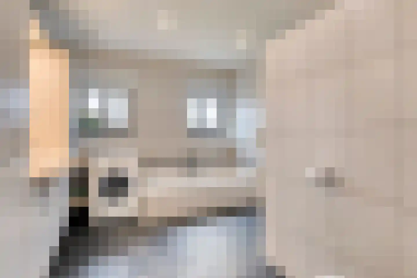 Schootsenhoek 11 Castelre thumbnail 27