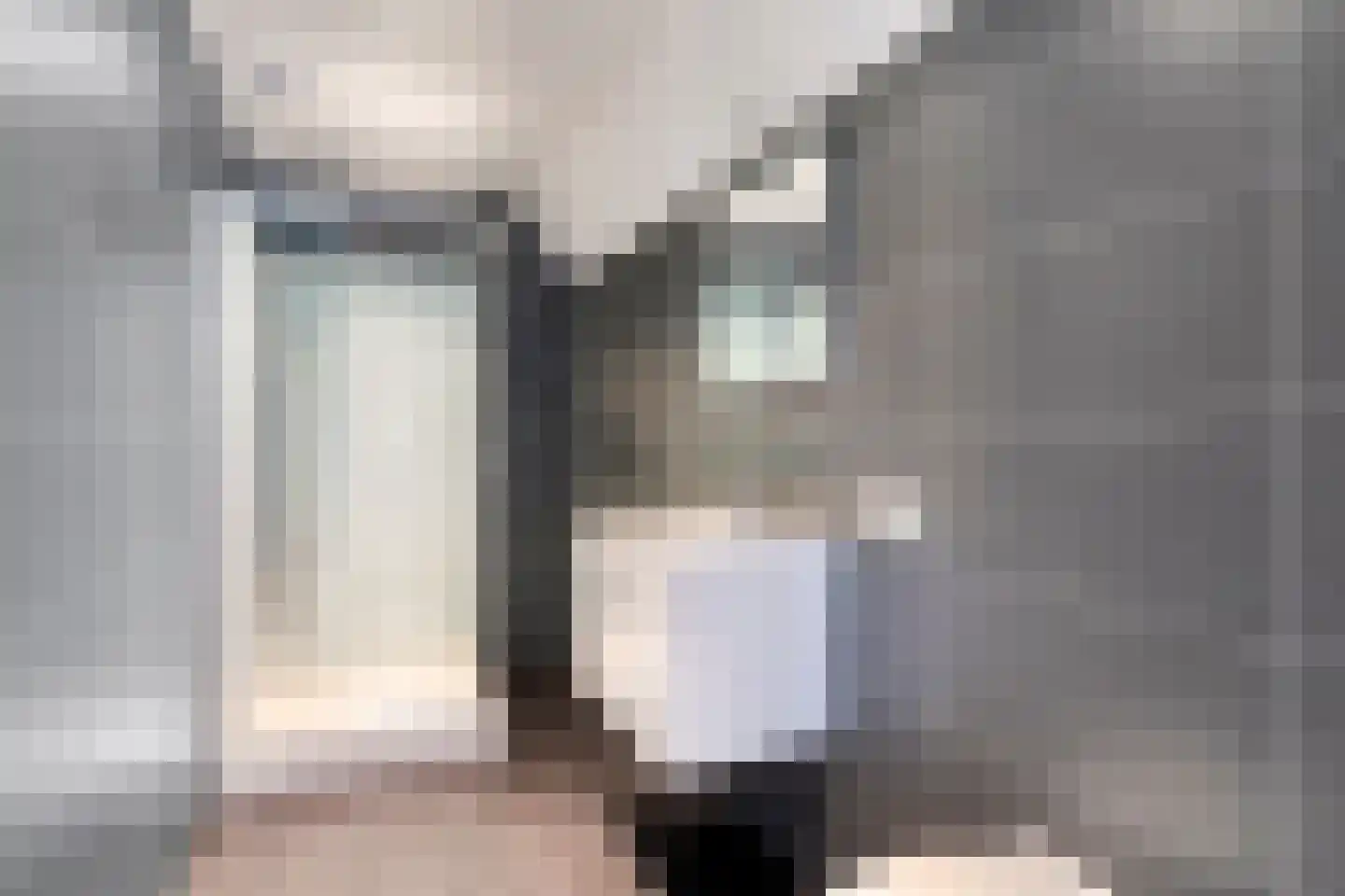 Schootsenhoek 11 Castelre thumbnail 31