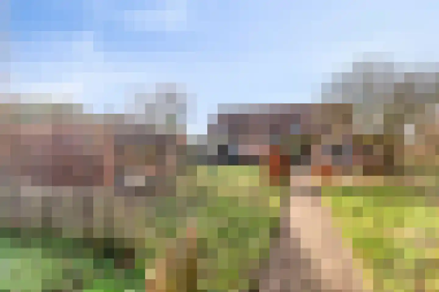 Schootsenhoek 11 Castelre thumbnail 38