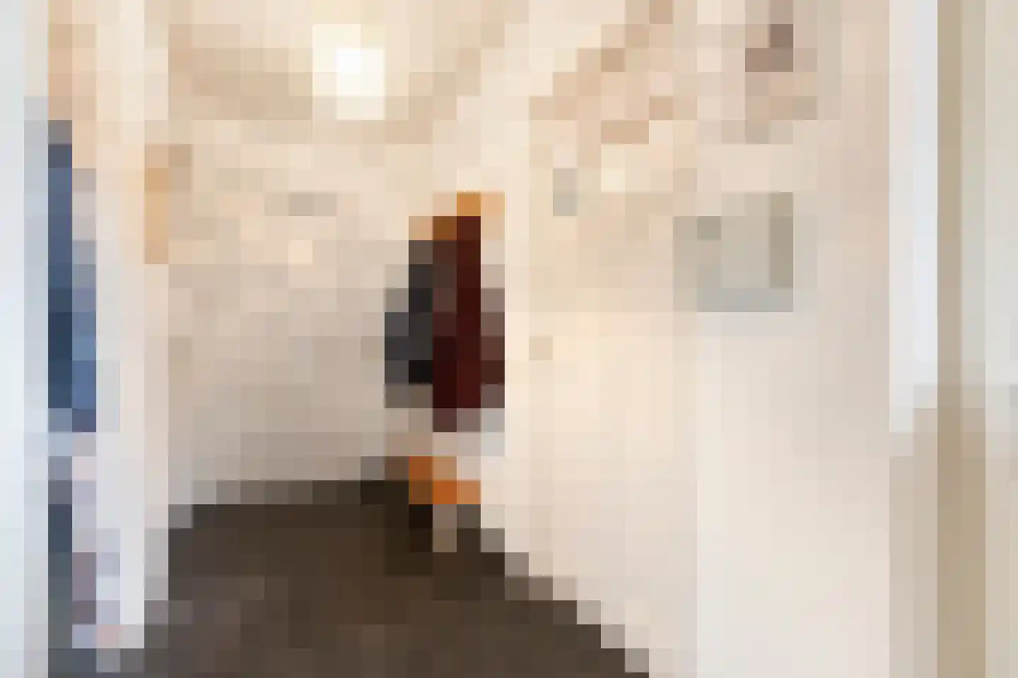 Schootsenhoek 11 Castelre thumbnail 4