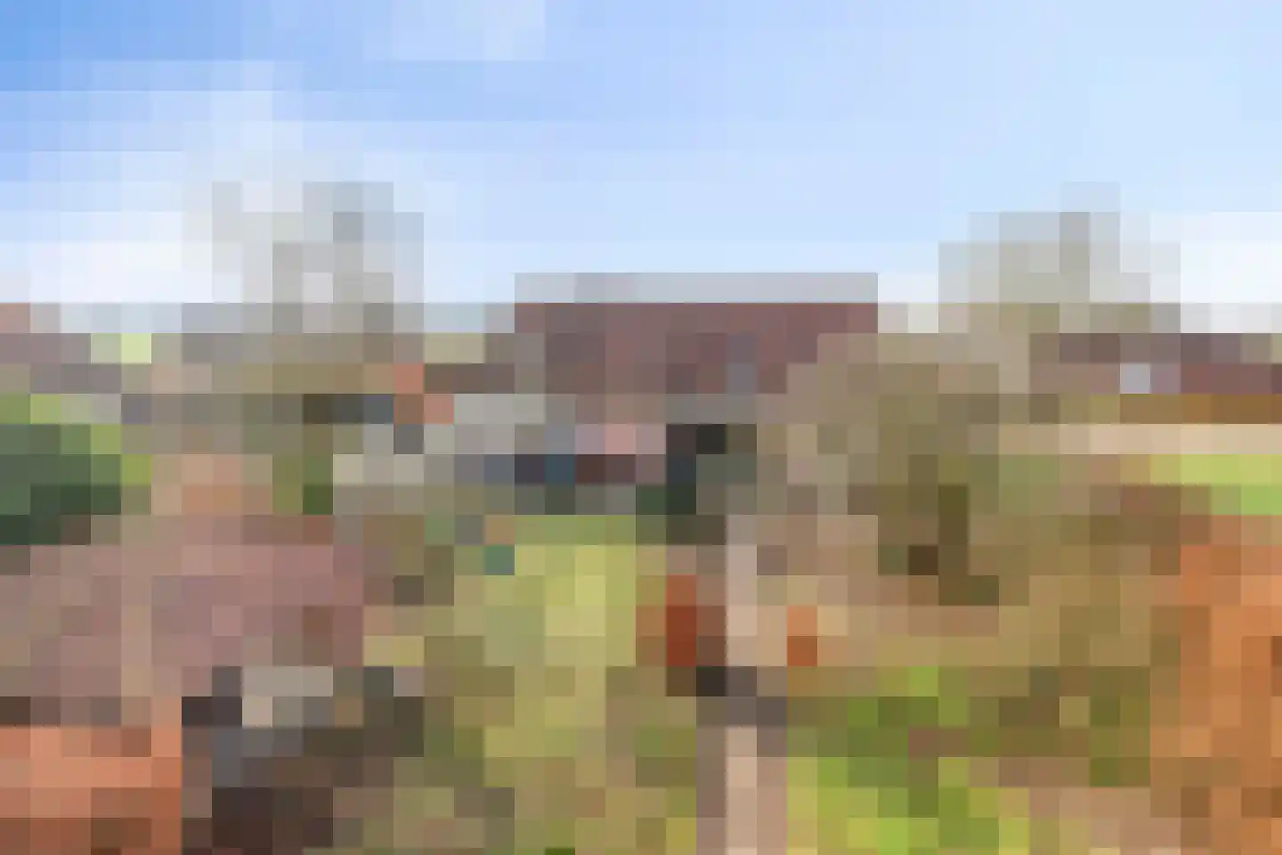Schootsenhoek 11 Castelre thumbnail 40