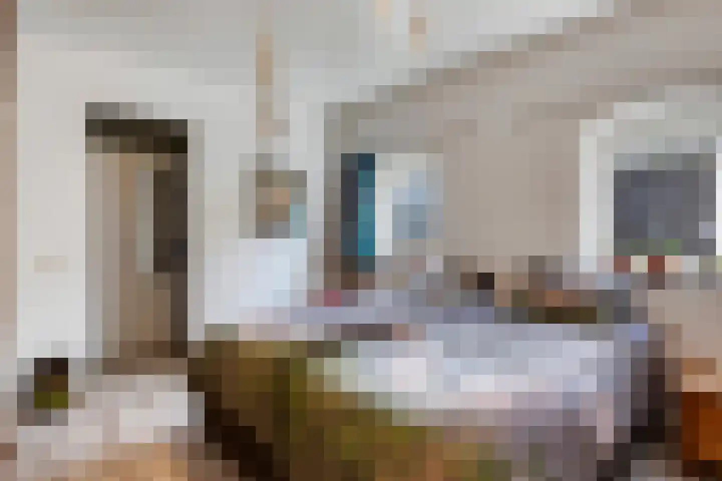 Schootsenhoek 11 Castelre thumbnail 50