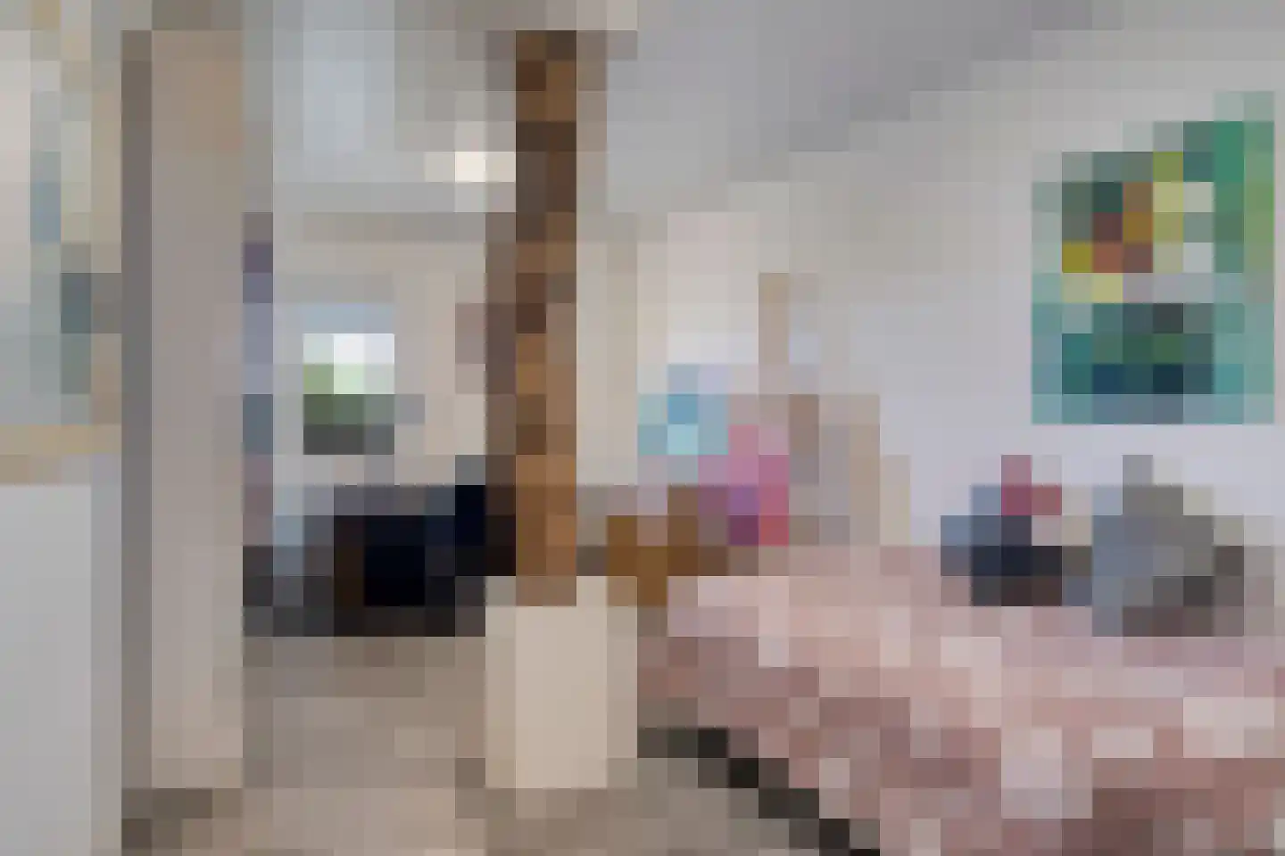 Schootsenhoek 11 Castelre thumbnail 52