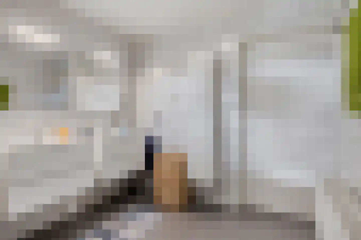 Schootsenhoek 11 Castelre thumbnail 55