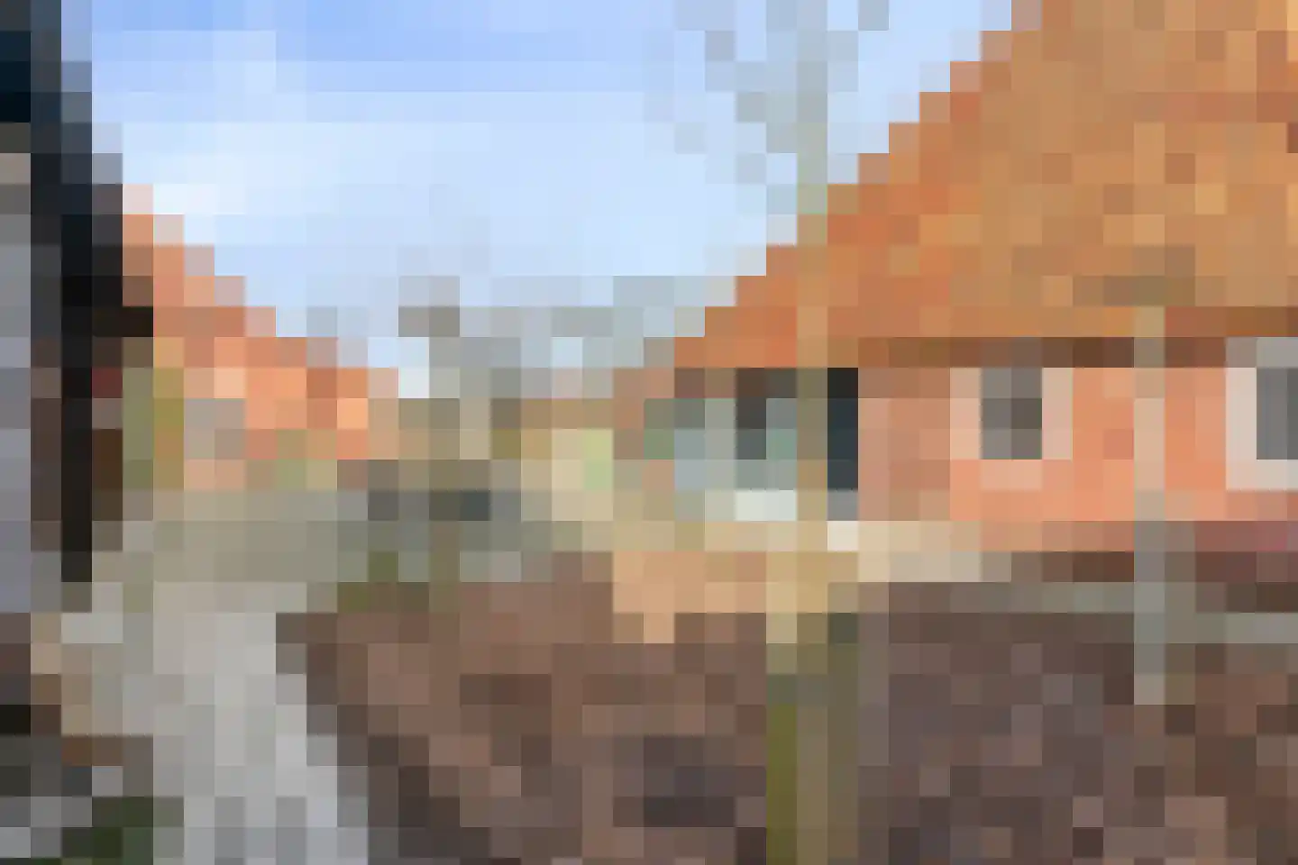 Schootsenhoek 11 Castelre thumbnail 58