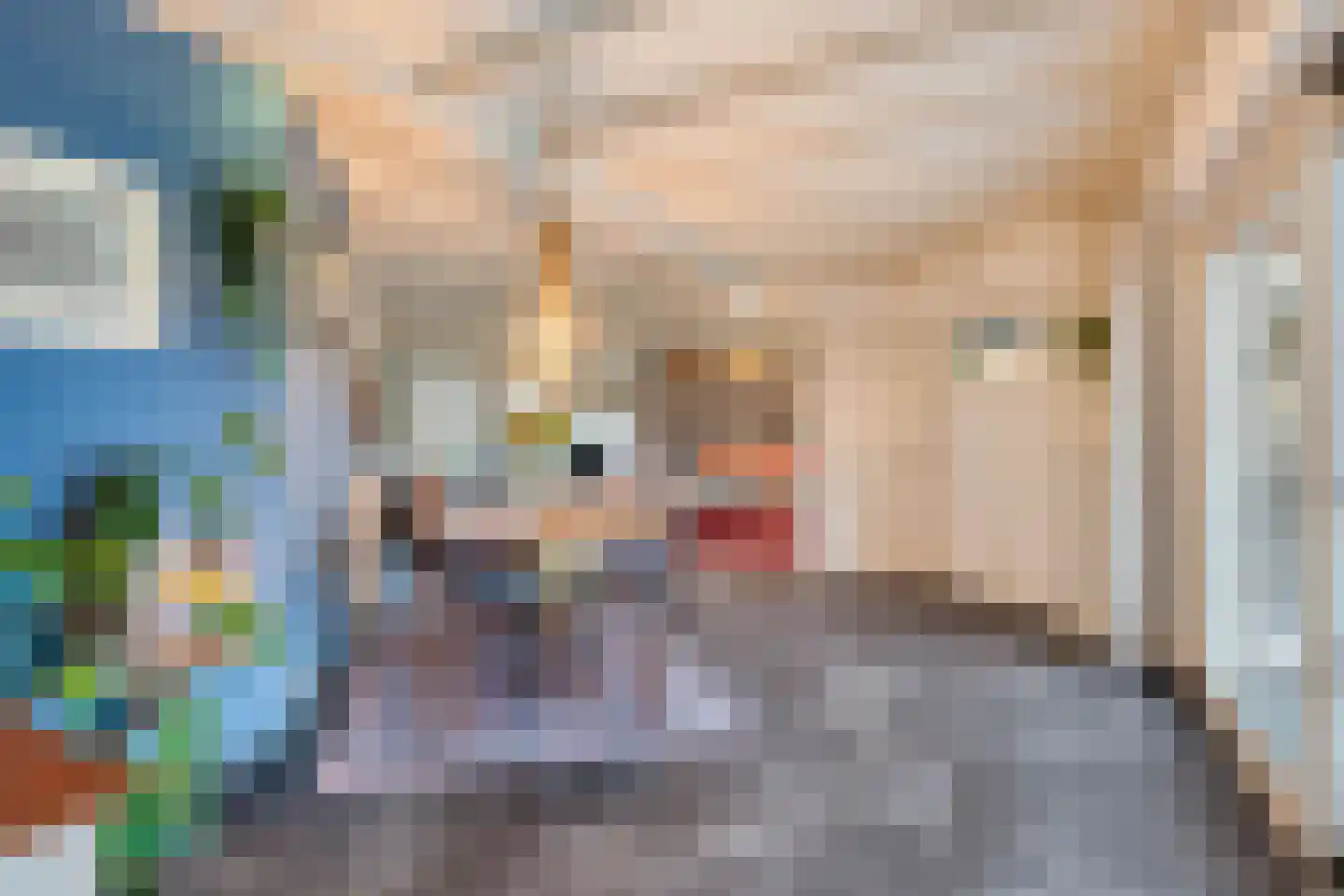 Schootsenhoek 11 Castelre thumbnail 6