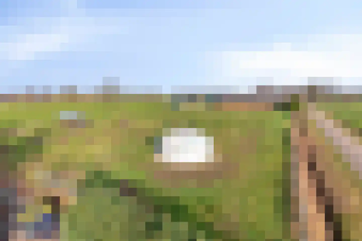 Schootsenhoek 11 Castelre thumbnail 64
