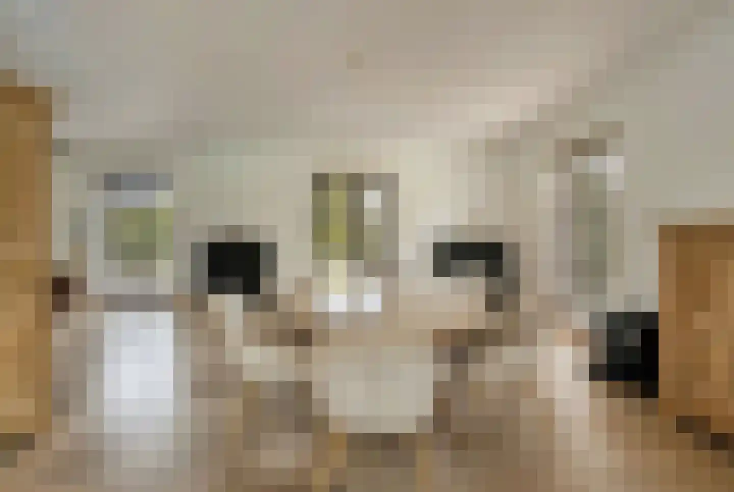 Schootsenhoek 14 Castelre thumbnail 10