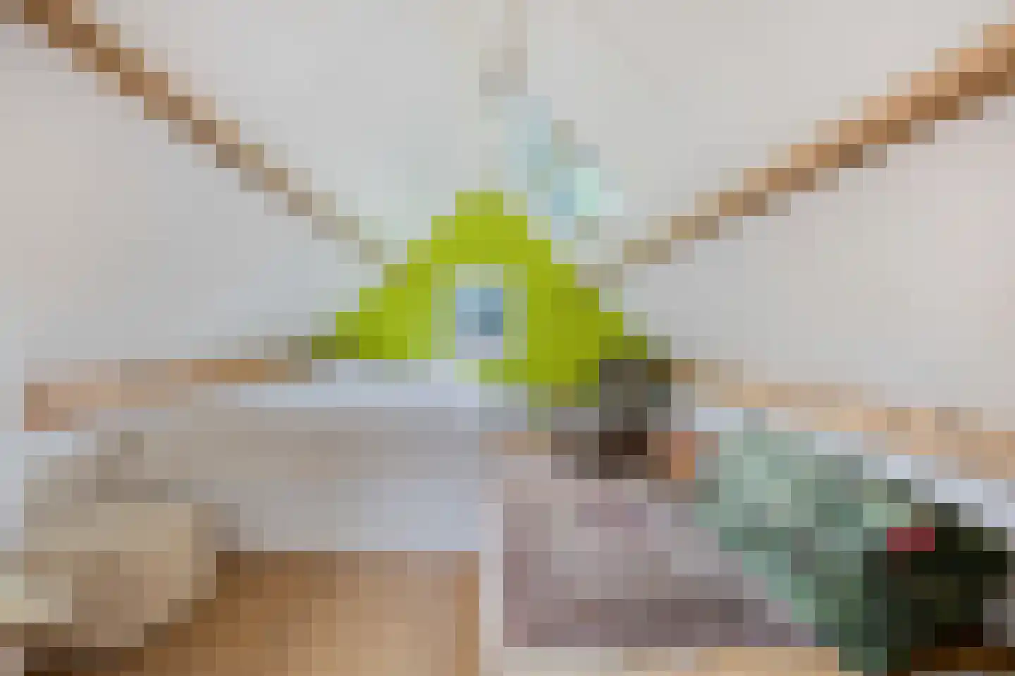 Schootsenhoek 14 Castelre thumbnail 105
