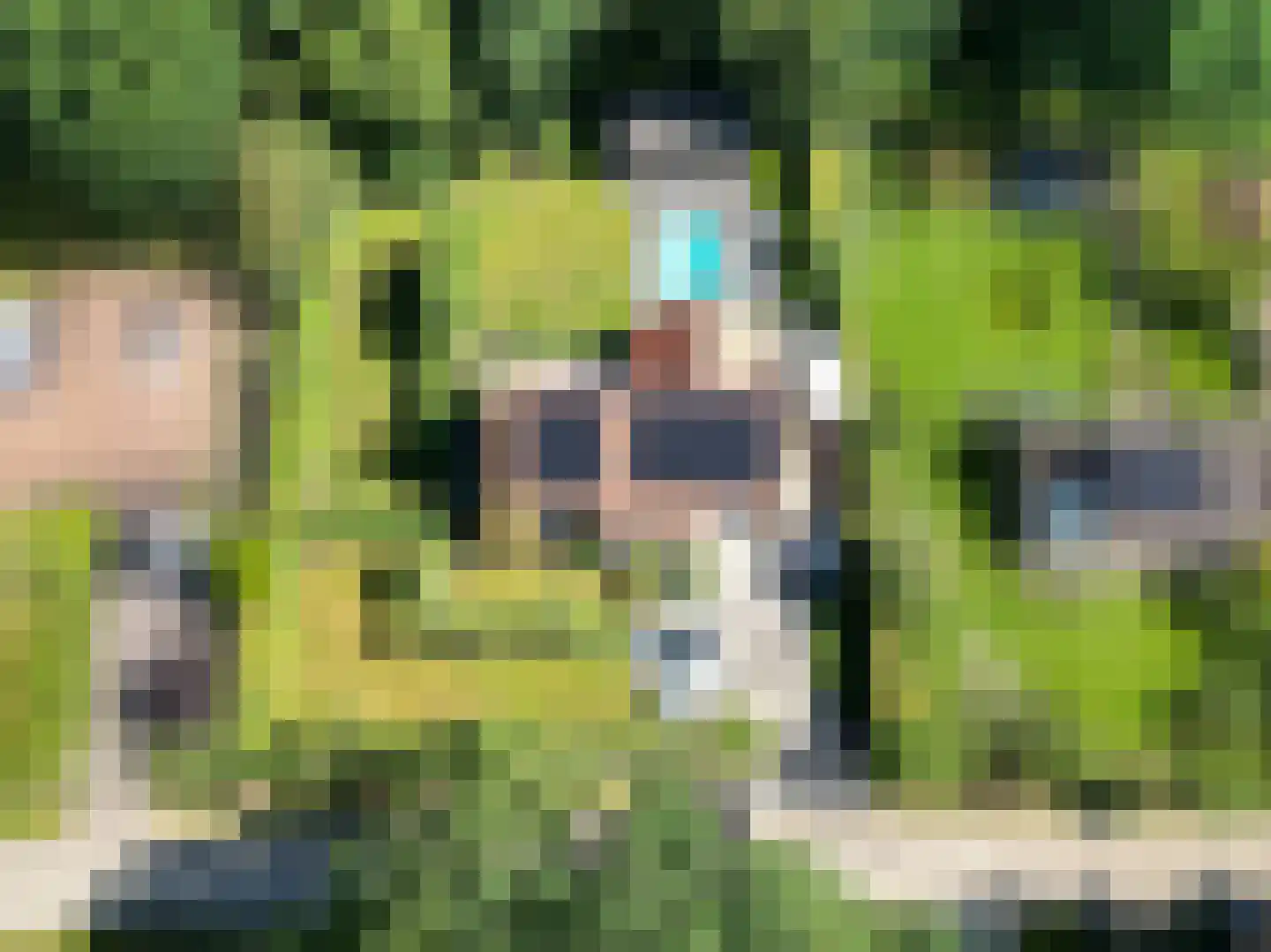 Schootsenhoek 14 Castelre thumbnail 111