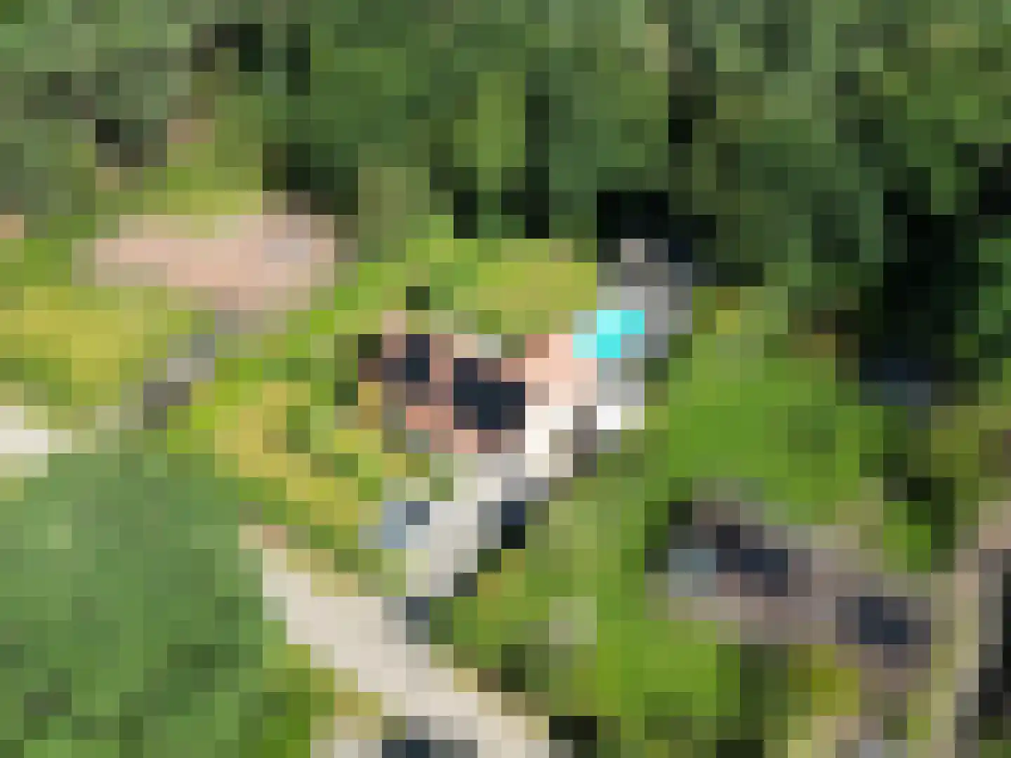 Schootsenhoek 14 Castelre thumbnail 112