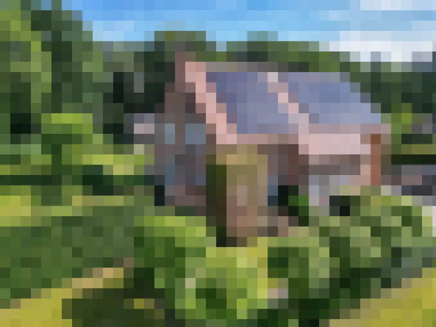 Schootsenhoek 14 Castelre thumbnail 116
