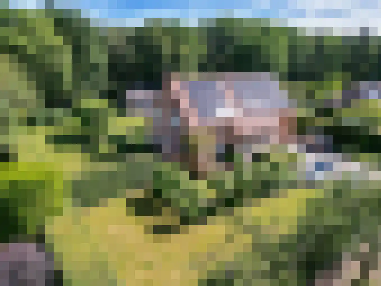Schootsenhoek 14 Castelre thumbnail 117