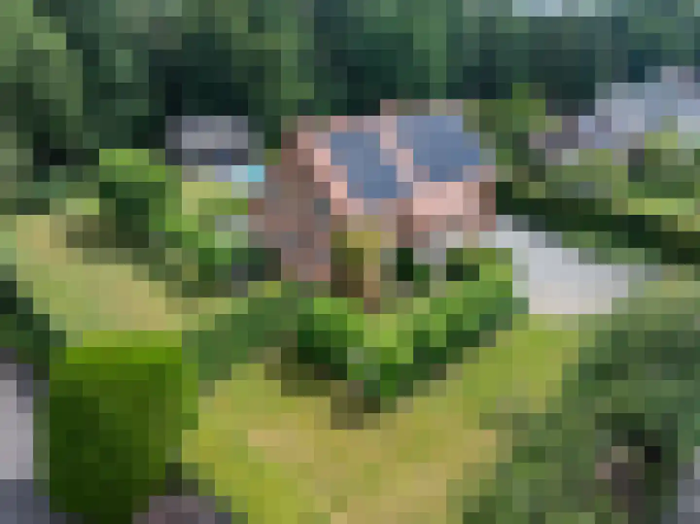 Schootsenhoek 14 Castelre thumbnail 14