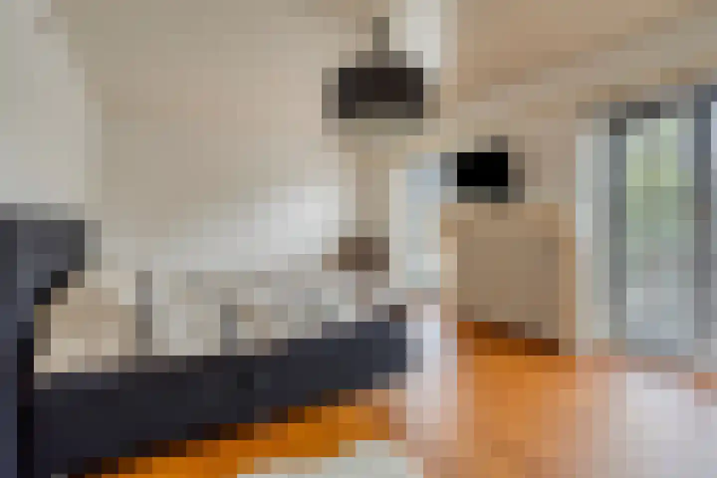 Schootsenhoek 14 Castelre thumbnail 18